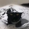 Иконка канала Hunter