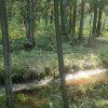 Иконка канала forêt🪴