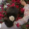 Иконка канала ~🌸🕊SAPNI_126🕊🌸~
