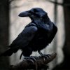 Иконка канала AnnaVorona