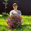 Иконка канала Дача косметолога