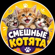 Иконка канала Смешные котята