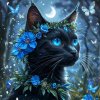 Иконка канала 🩵˚✧₊Полуночная звезда КВД ⁺˳✧༚🪼
