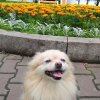 Иконка канала ~котэ~