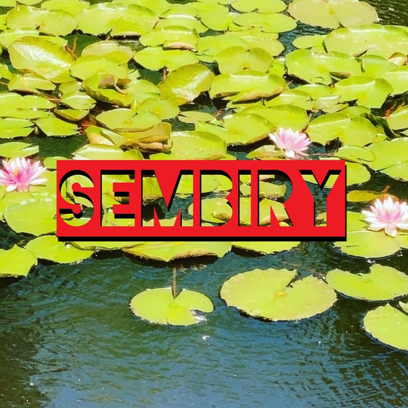 Иконка канала SEMBIRY