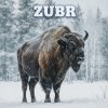 Иконка канала ZUBR