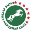 Иконка канала Народная Сила