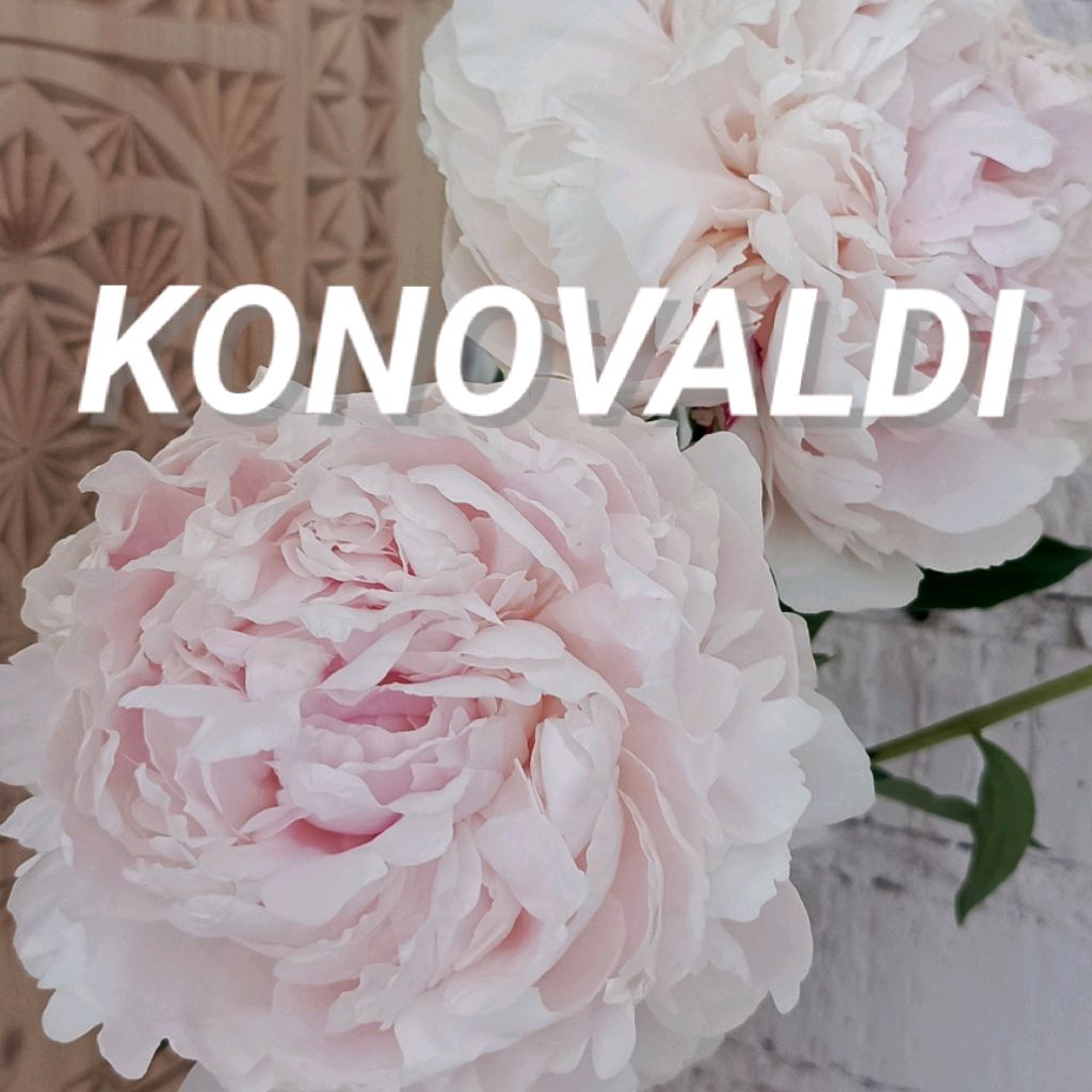 Иконка канала KONOVALDI
