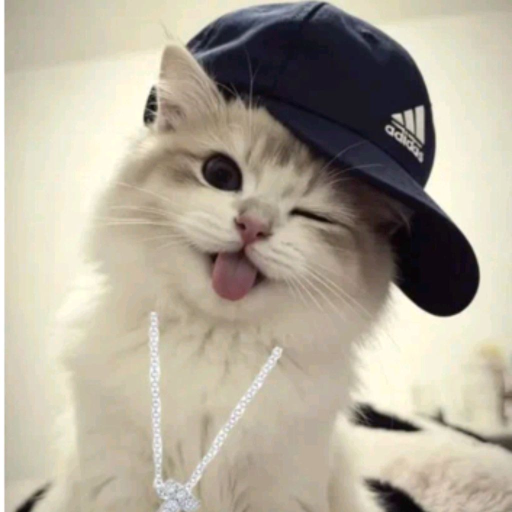 Иконка канала Love Kitten