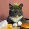 Иконка канала MrShermandGames:)