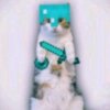 Иконка канала 🌿 Cookie/Крафт 🍪
