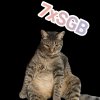 Иконка канала 7xSGB