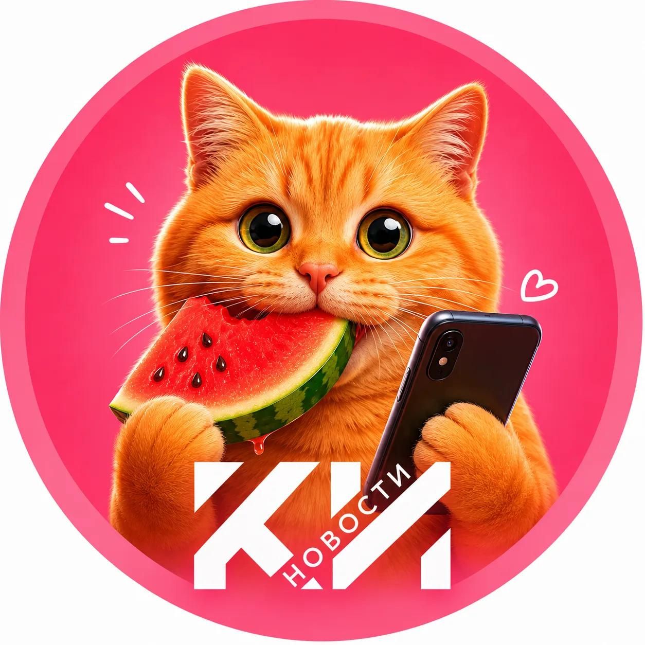 Иконка канала Краснодарские известия