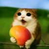 Иконка канала Светик_РБХ