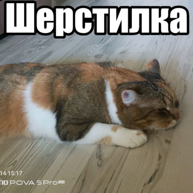 Иконка канала Московский Частный Канал