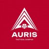 Иконка канала AURIS Tactical Campus