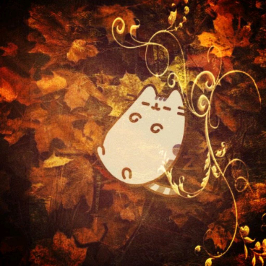 Иконка канала 🍯𝓰𝓮𝓷𝓲𝓯𝓮𝓻 𝓽𝓲𝓶𝓮 🍁