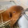 Иконка канала Ника🌸(^._.^)Аватар ворлд💝