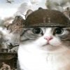 Иконка канала КНЯЗ