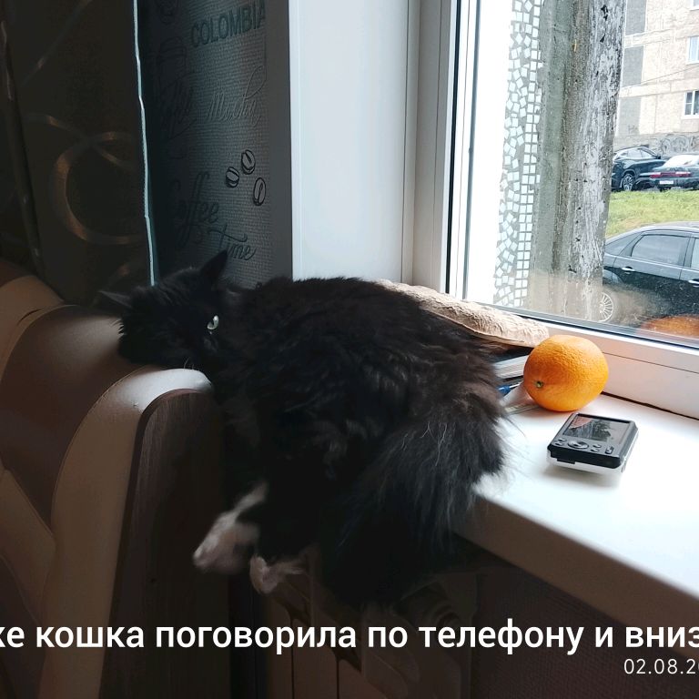 Аватар автора