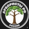 Иконка канала Арбо