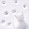 Иконка канала ~𝕞𝕚𝕤𝕤 𝕜𝕠𝕥𝕚𝕜 𝕨𝕙𝕚𝕥𝕖 𝕔𝕙𝕠𝕔𝕠𝕝𝕒𝕥𝕖