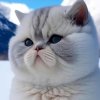 Иконка канала Клад пранков и приколов