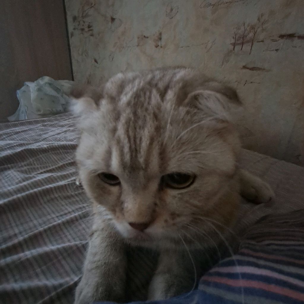 Иконка канала channel Крутой Миха