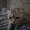 Иконка канала channel Крутой Миха