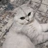 Иконка канала Даша Квд 💗