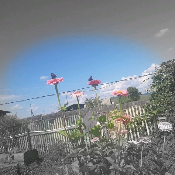 Иконка канала 🤗Ли Ли♥️ Канал 🌹💋