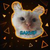 Иконка канала SANVIP