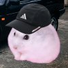 Иконка канала Хомяк