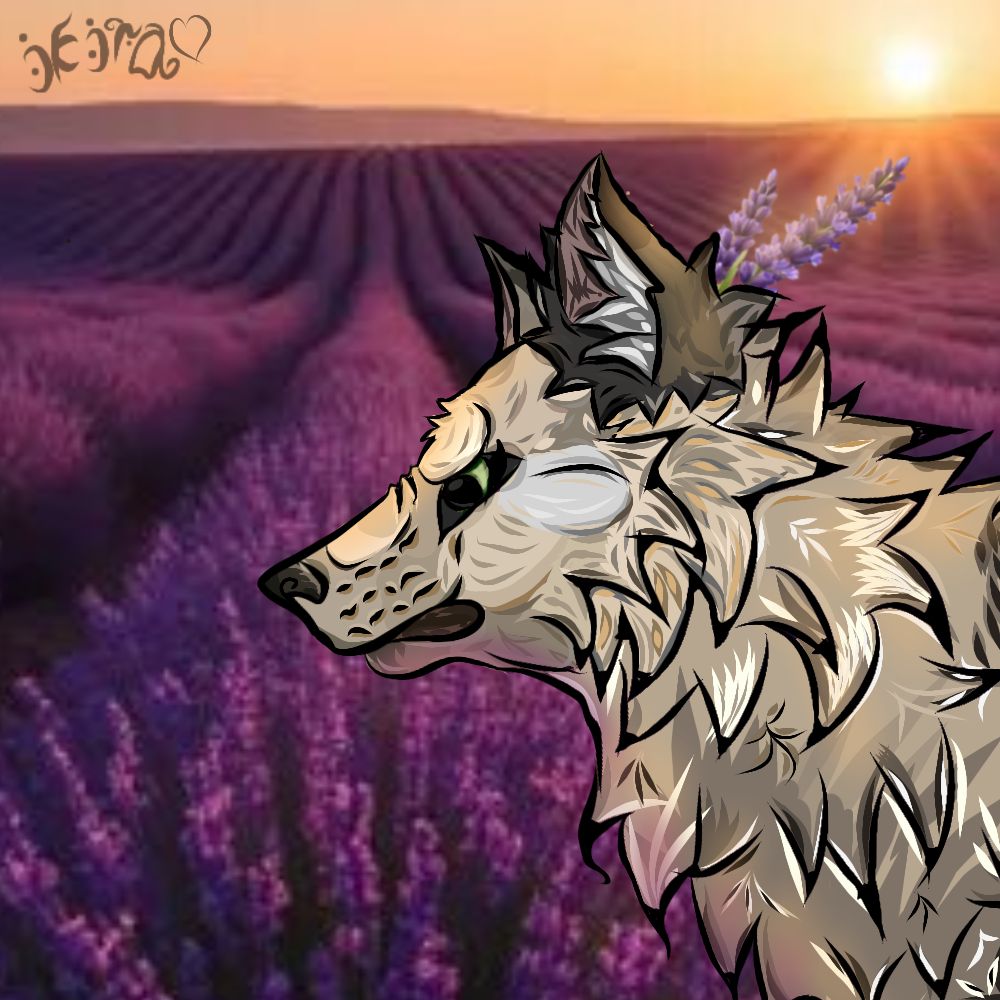 Иконка канала Gepka WildCraft КВ