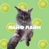 Иконка канала Лайф лайм