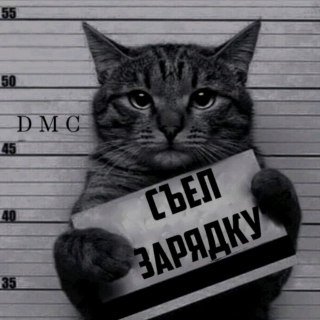 Иконка канала Cat Pro Прохождение Игр