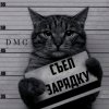 Иконка канала Cat Pro Прохождение Игр