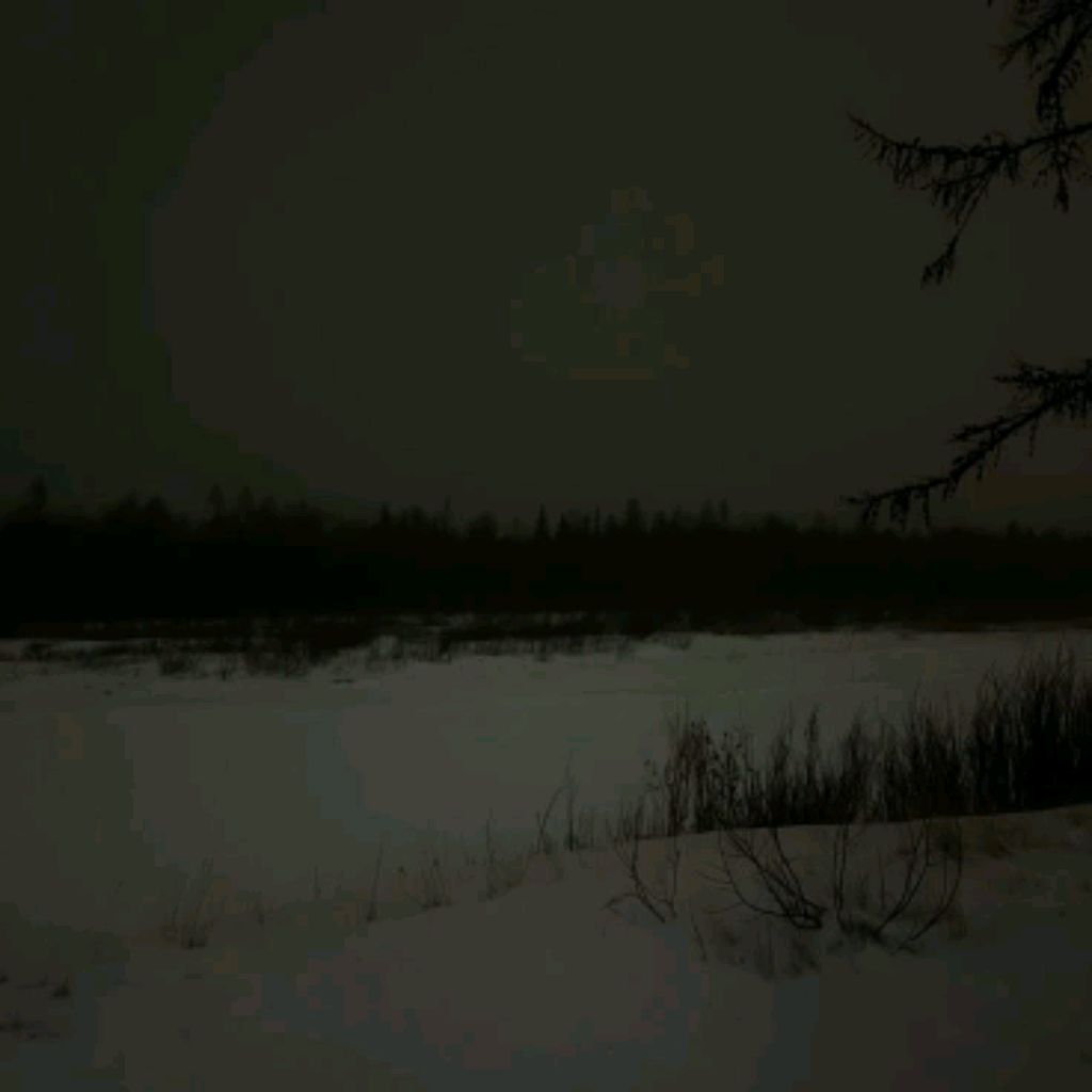 Иконка канала 🌀×ᴄᴏнᴇчᴋᴀ×🔪