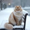 Иконка канала ❄ Снежок❄