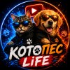 Иконка канала КотопесLiFE