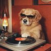 Иконка канала Мир Музыки