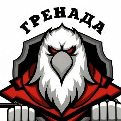 Иконка канала Хоккейный клуб "Гренада" г.Набережные Челны