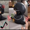 Иконка канала Gugugaga Penguin_不要碰我的尾巴 - 最可爱的时刻会温暖你的心🐧🎵💙