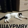 Иконка канала Saveliy