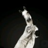 Иконка канала LOVELY HORSE