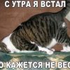 Иконка канала Artempro Rutube