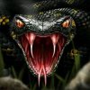 Иконка канала solodovseg