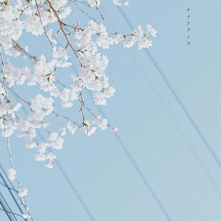 Иконка канала Tanjirok7