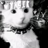 Иконка канала WYN4IK