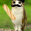 Иконка канала Fakiesome